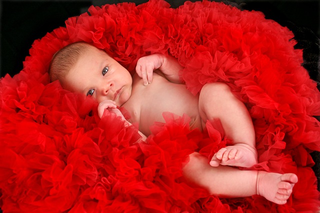 [liliredtutu[3].jpg]